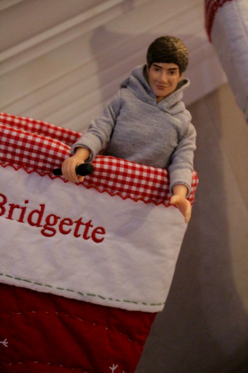 One Direction What Makes You Beautiful Doll Collection, Liam : :  Toys & Games