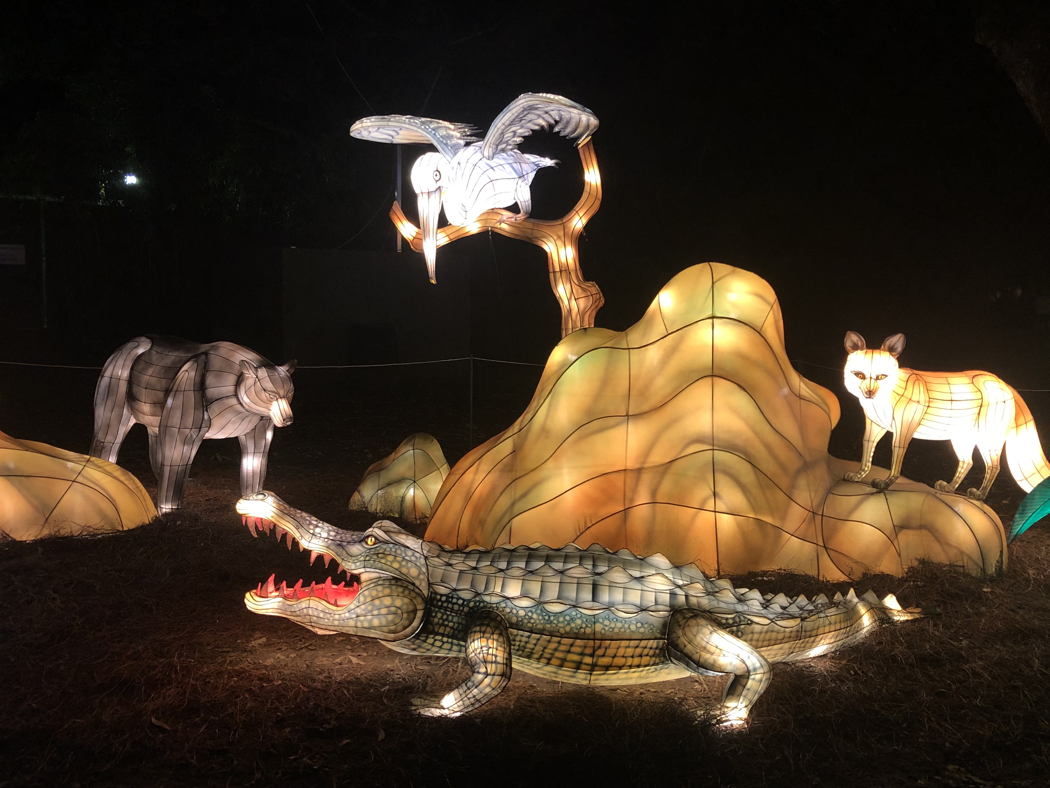 Sneak Peek of the Audubon Zoo Lights in New Orleans The Experimental