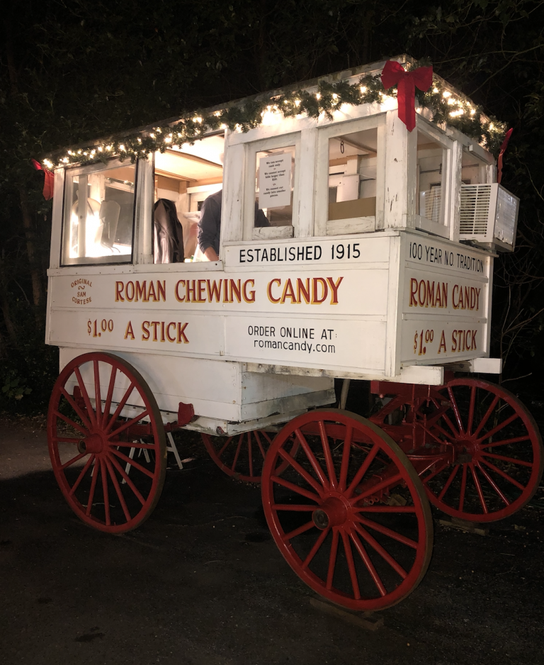 Sneak Peek of the Audubon Zoo Lights in New Orleans The Experimental